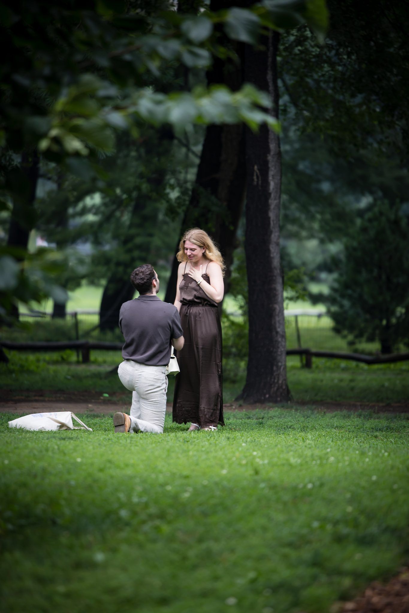 Proposal on one knee in the park